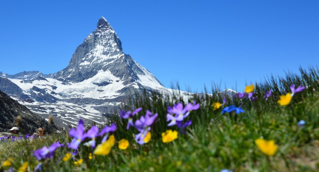 Matterhorn Alpejski w Zermatt