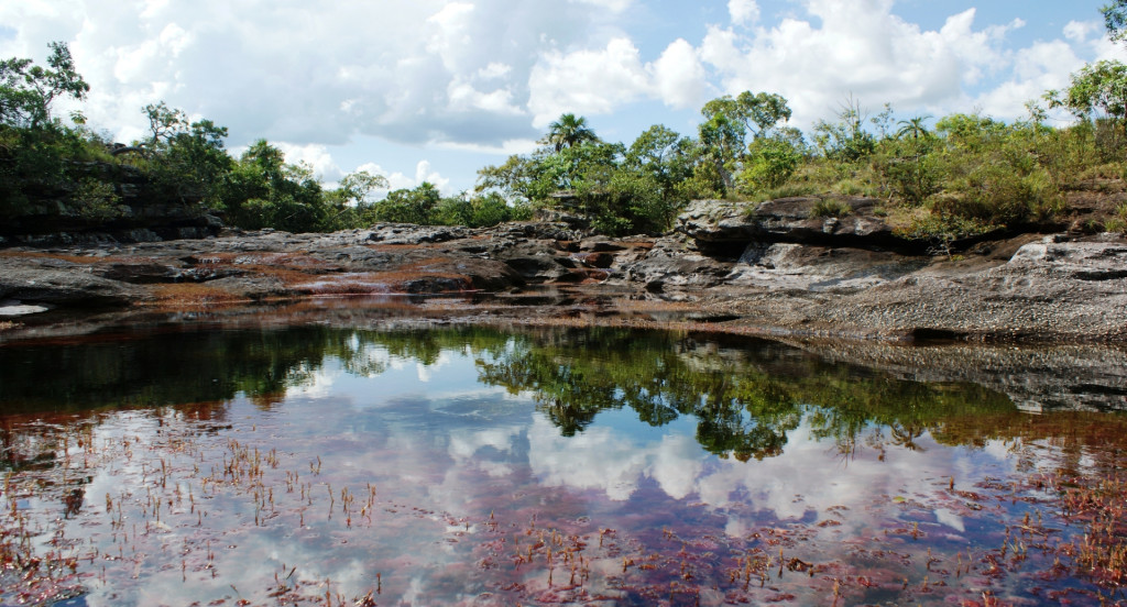 Caño Cristales