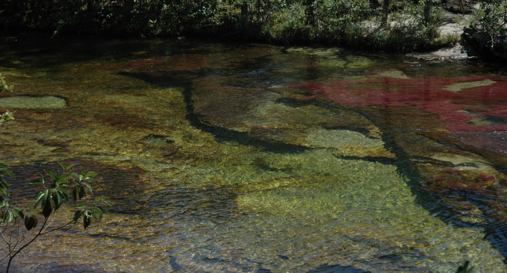 Caño Cristales