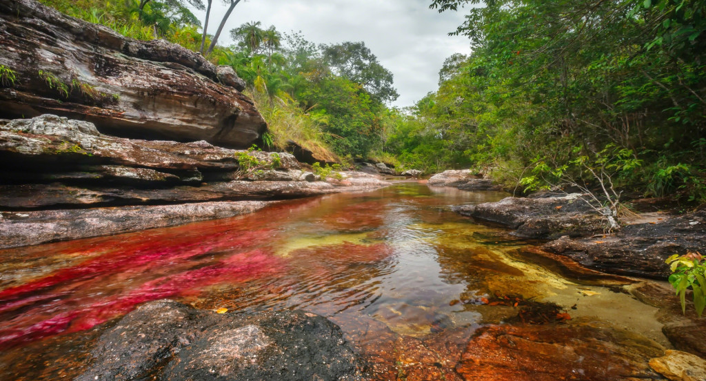 Caño Cristales