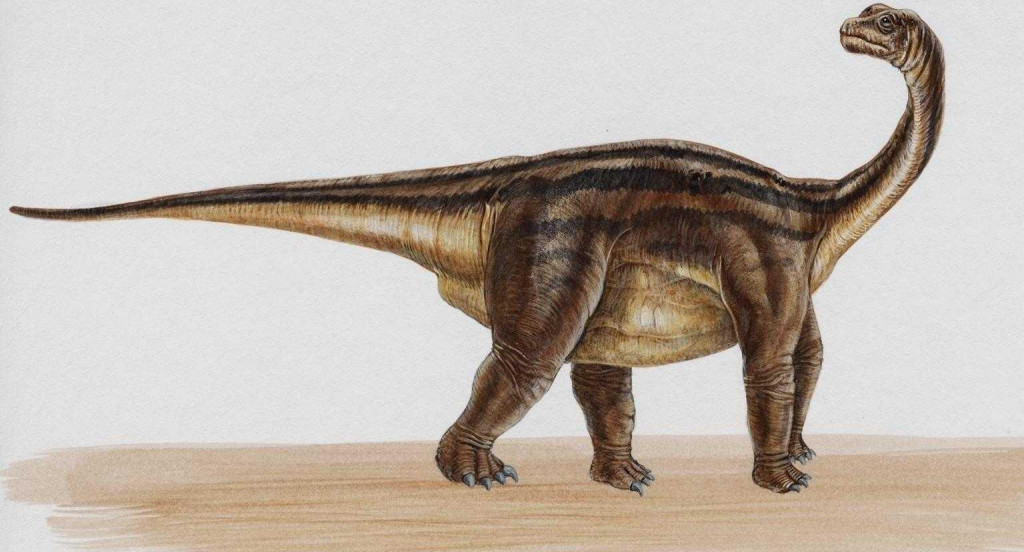 dinozaury (51).jpg