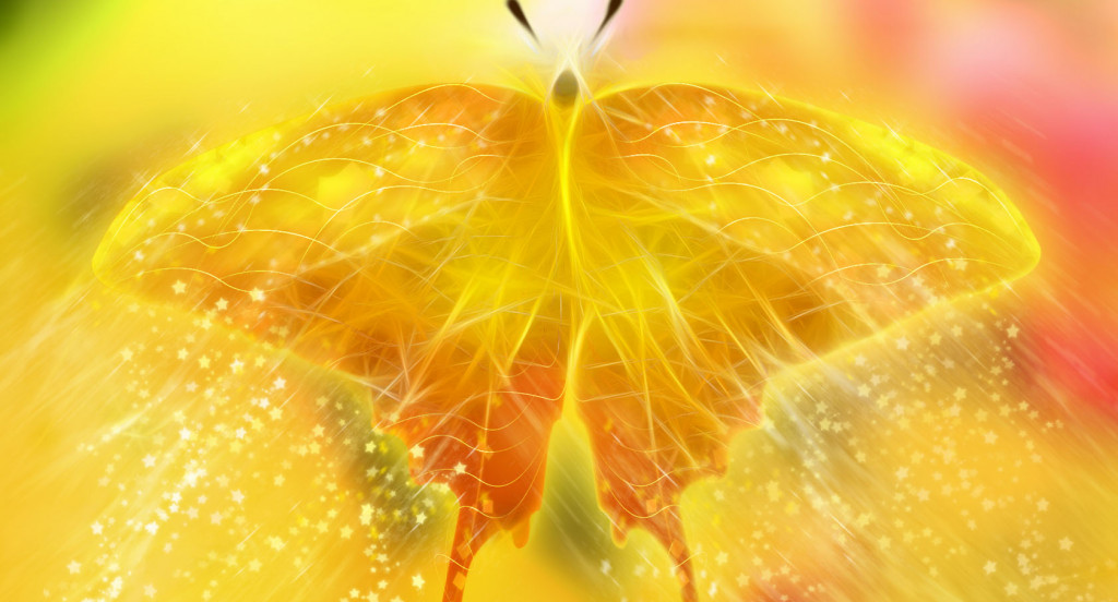 Backgrounds_Windows_7_-_Orange_butterfly.jpg