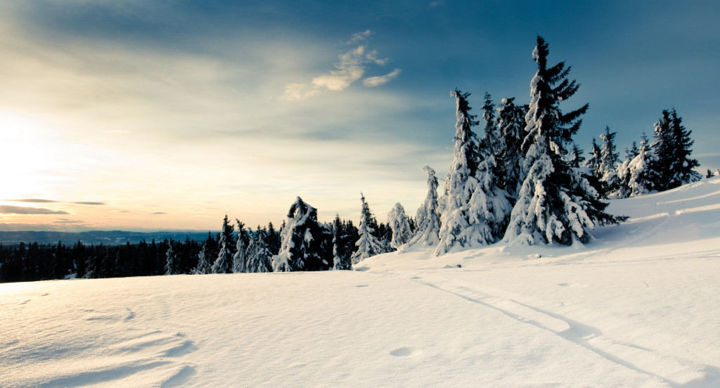 tapeta-panoramiczna (100).jpg