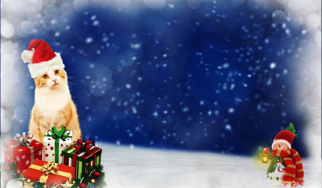 Kot i bałwanek w Boże Narodzenie