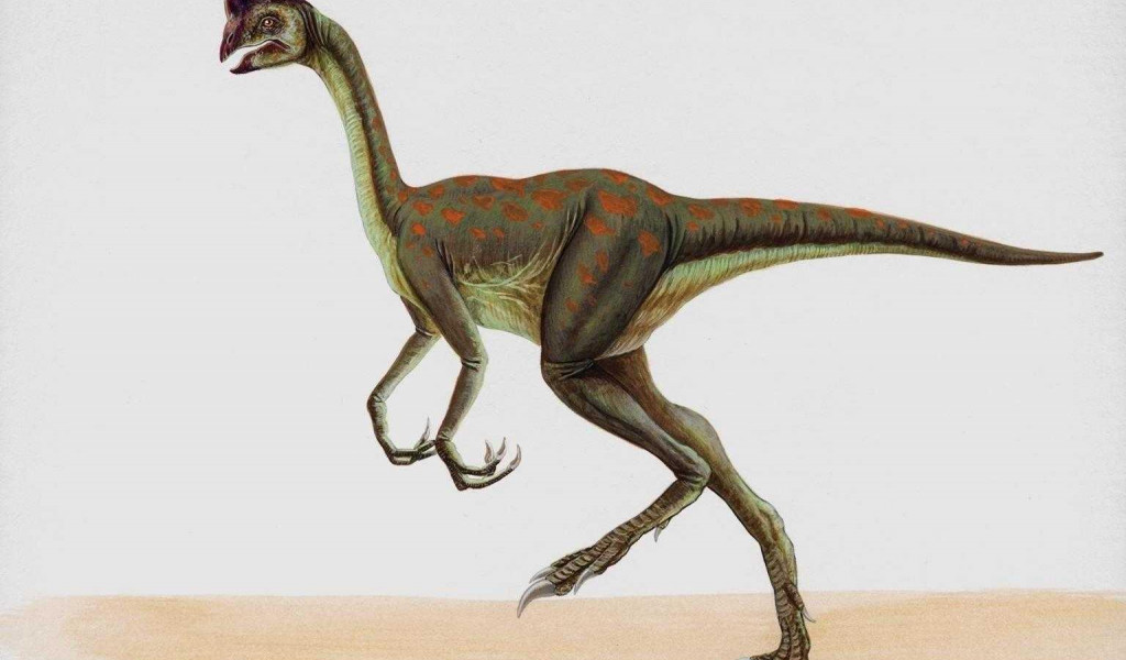 dinozaury (56).jpg