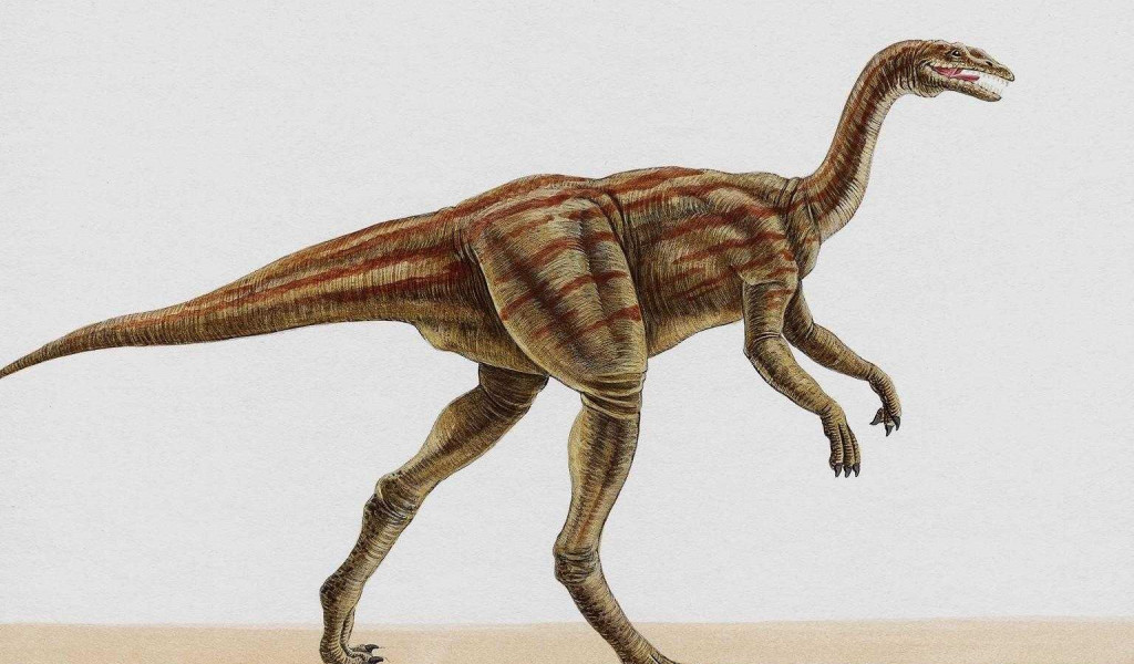 dinozaury (33).jpg