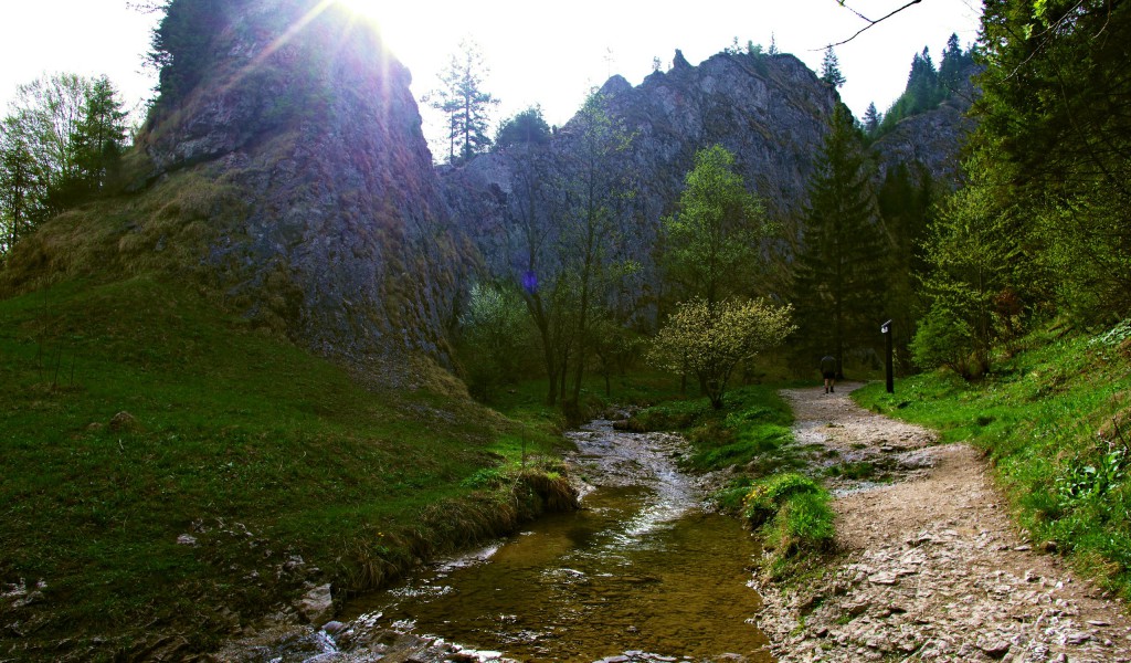 Ścieżka w góry