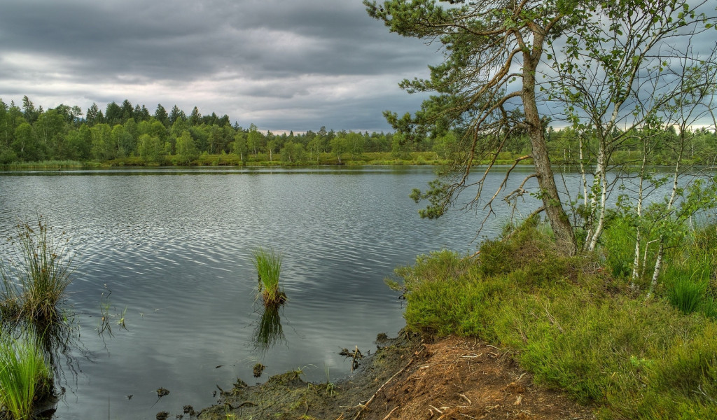 Piękny HD  Widok 9