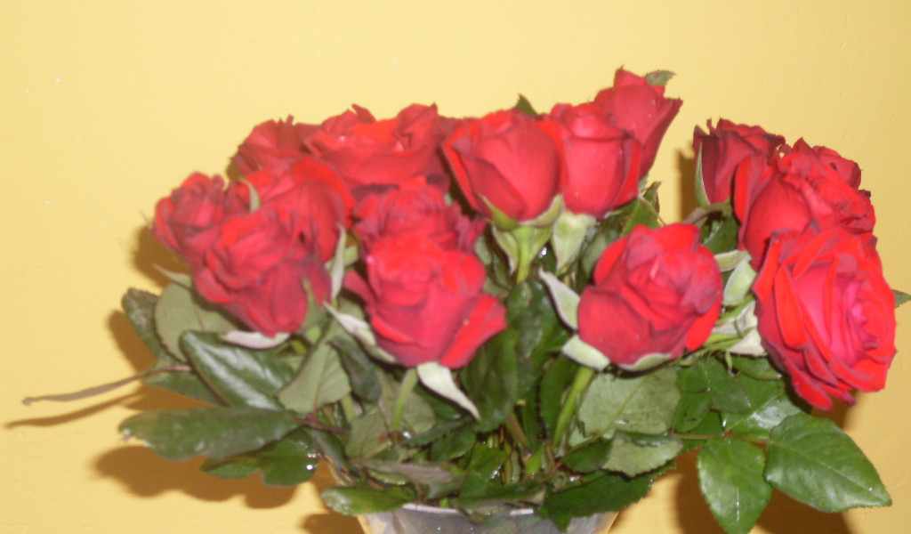 róże w wazonie