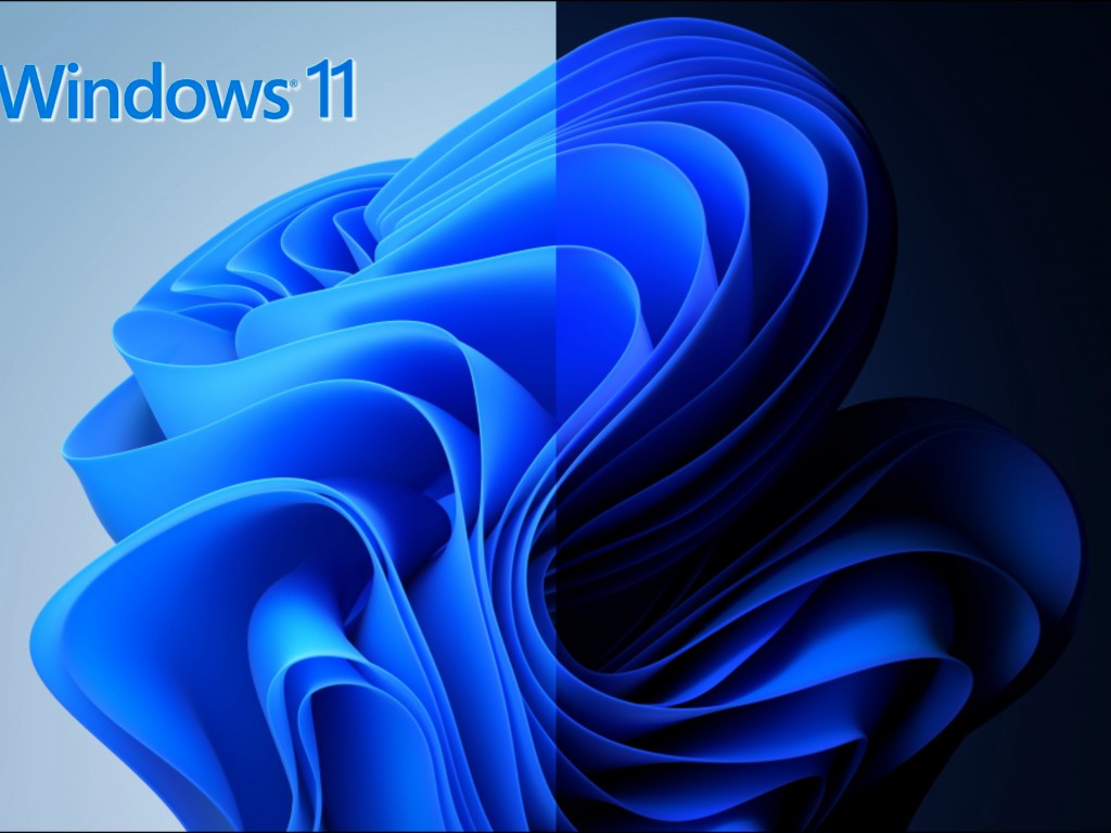 Windows 11 (1)