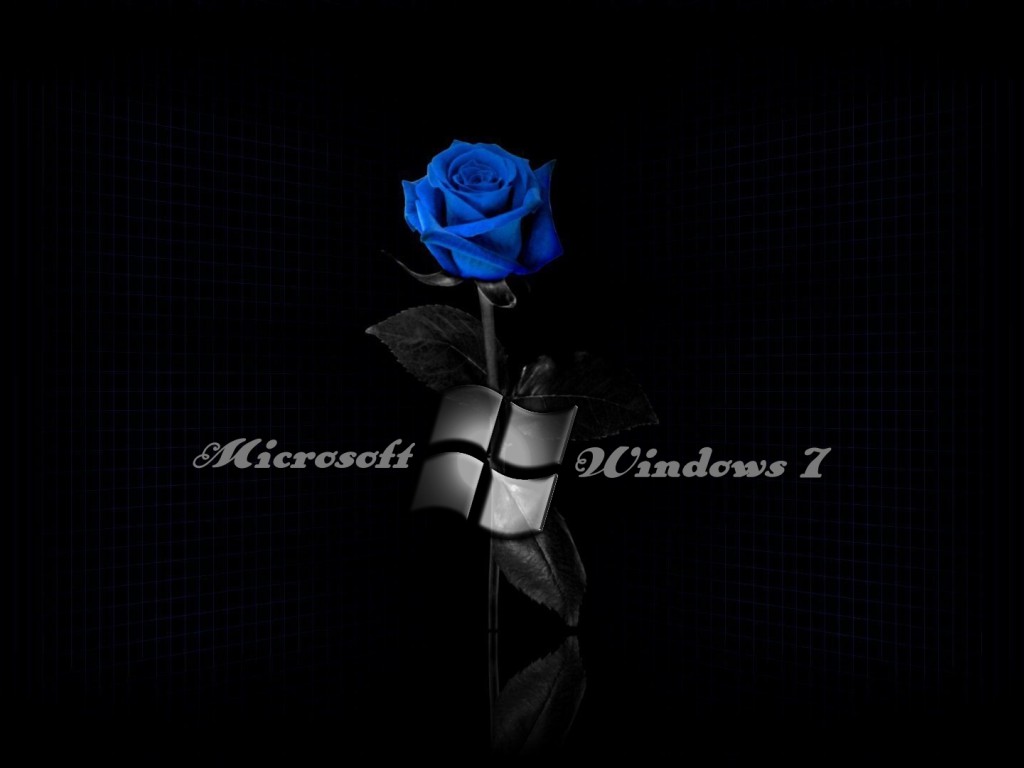 Windows 7