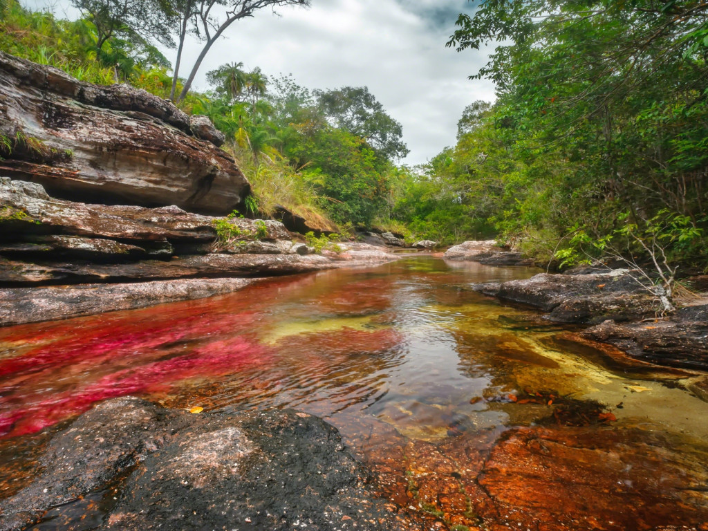 Caño Cristales