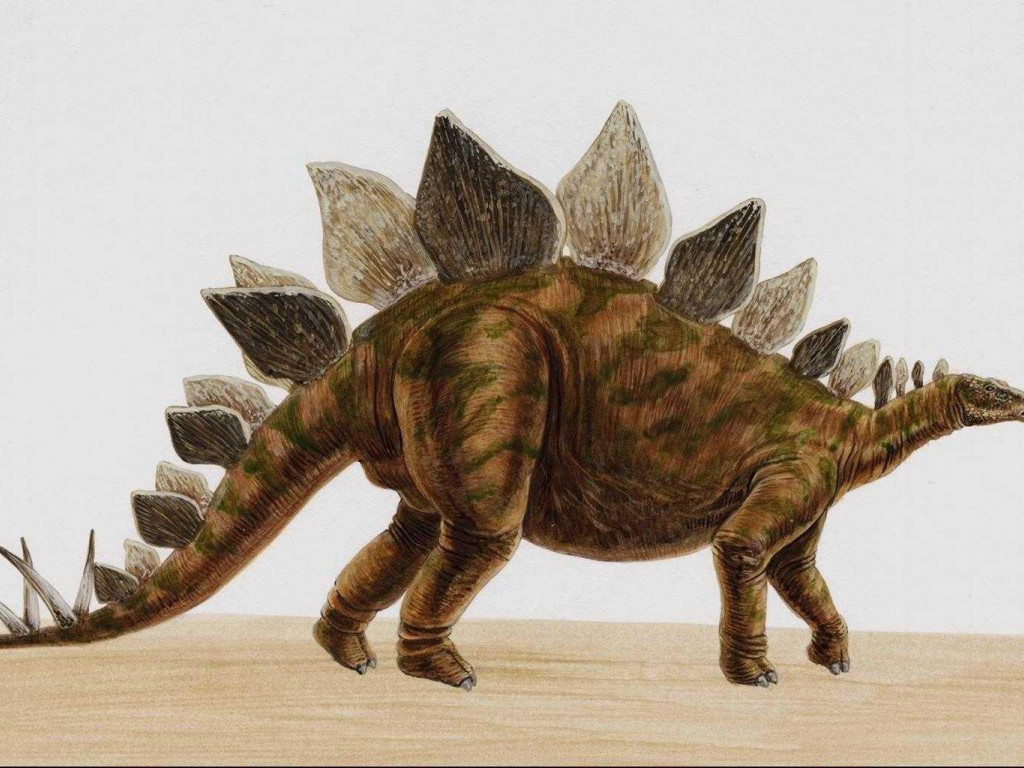 dinozaury (45).jpg