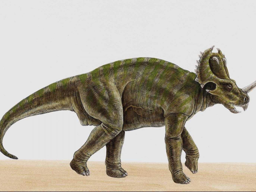 dinozaury (40).jpg