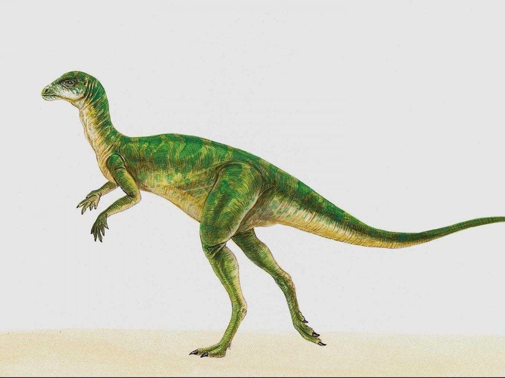 dinozaury (18).jpg
