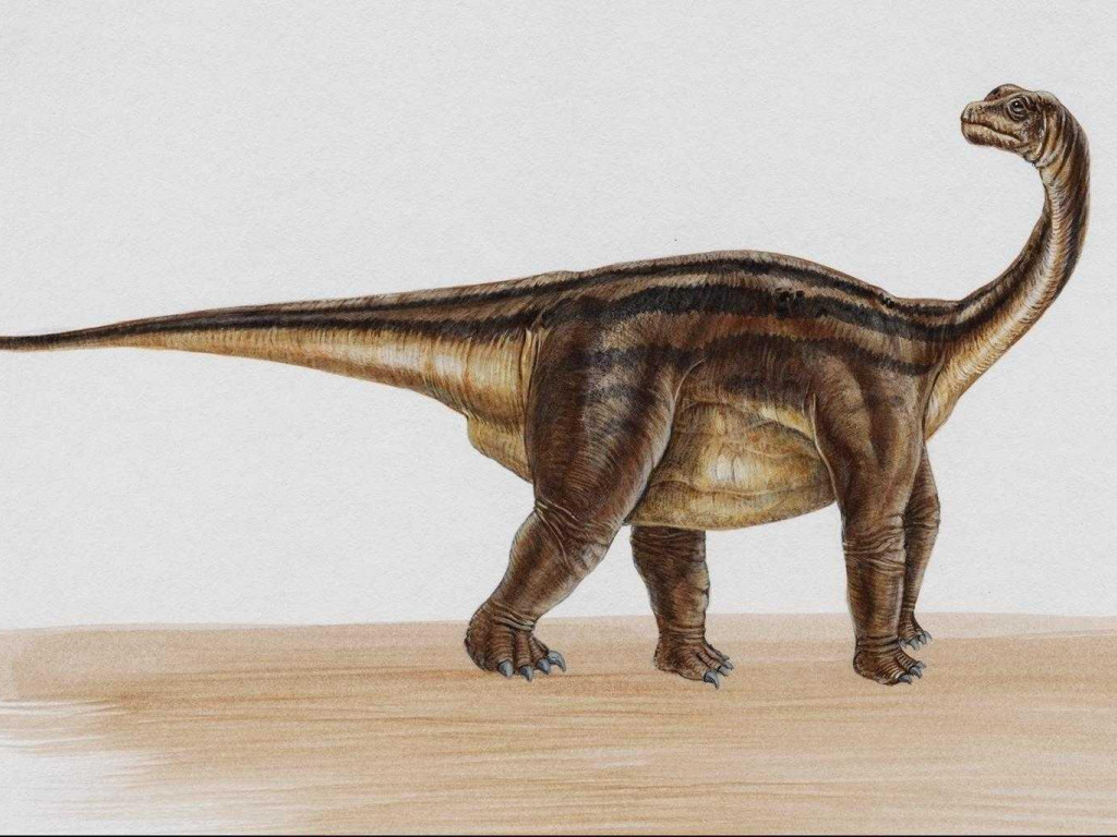 dinozaury (51).jpg