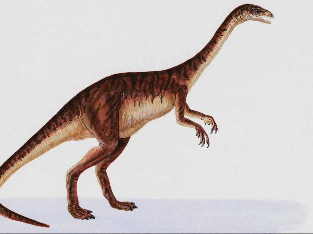 dinozaury (53).jpg