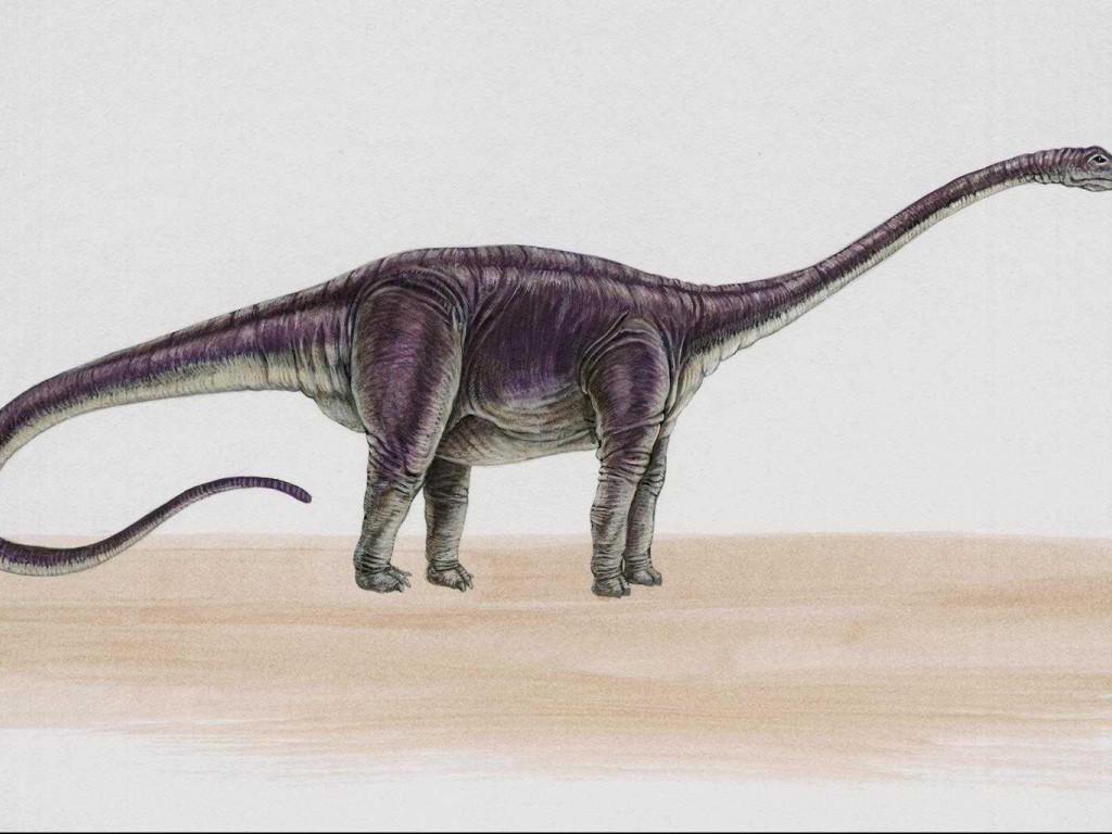 dinozaury (41).jpg