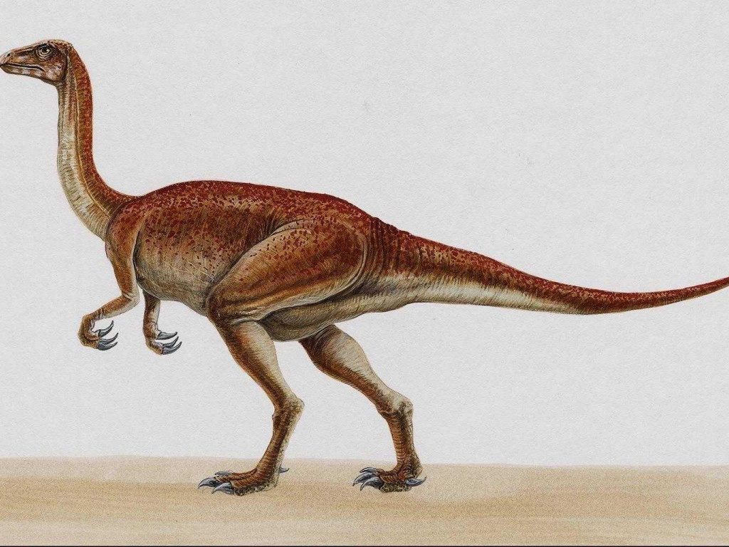 dinozaury (26).jpg