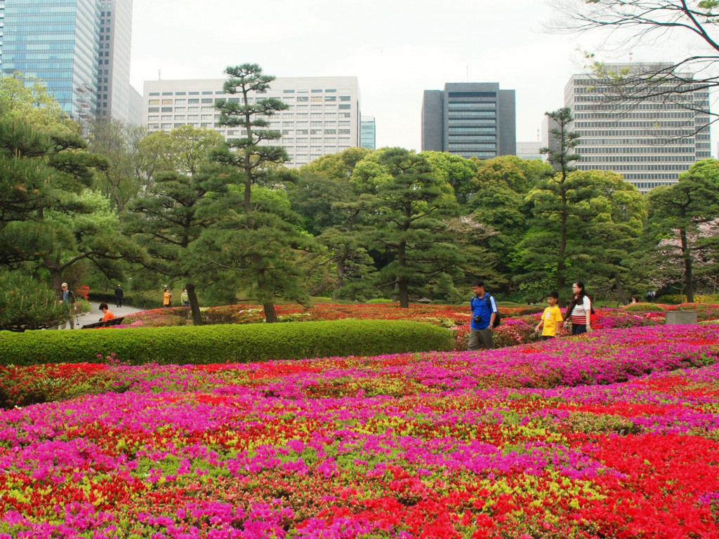 Japonia (174).jpg