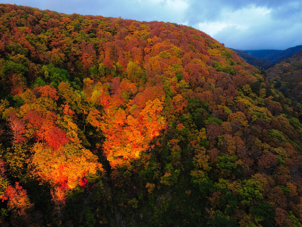 Japonia (200).jpg