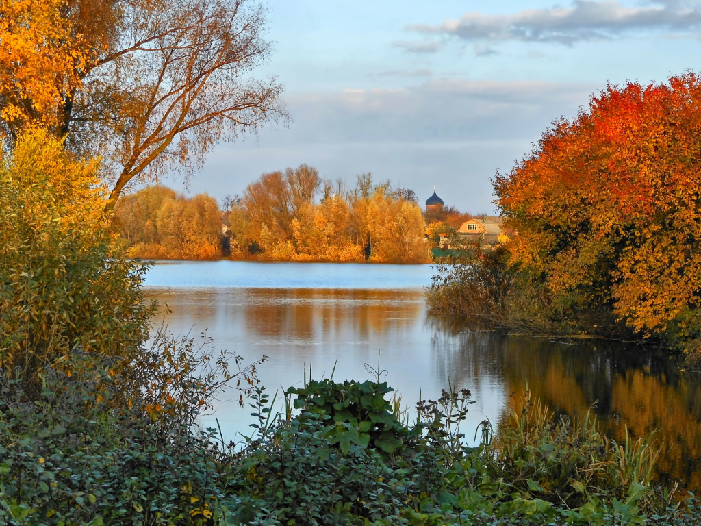 Drzewa nad rzeką