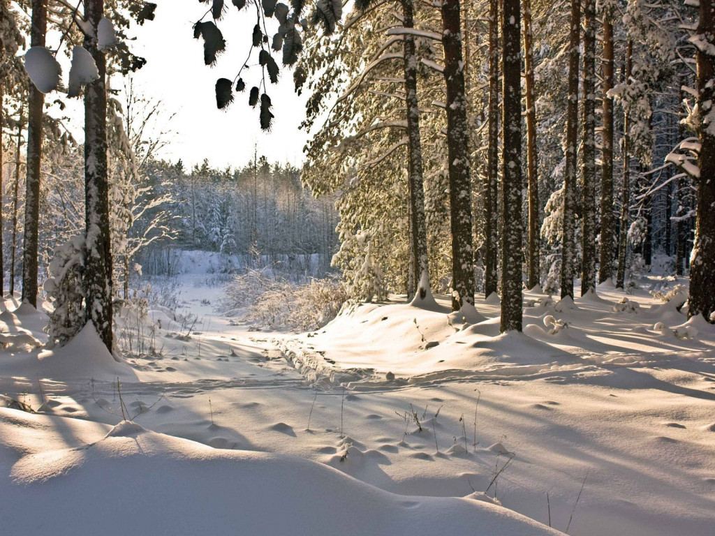 Piękny HD krajobraz 10