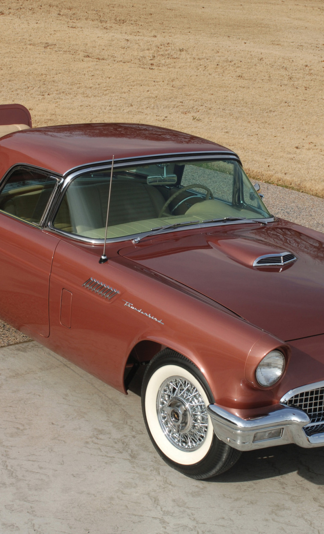 Ford Thunderbird Rumble Seat '1957.jpg