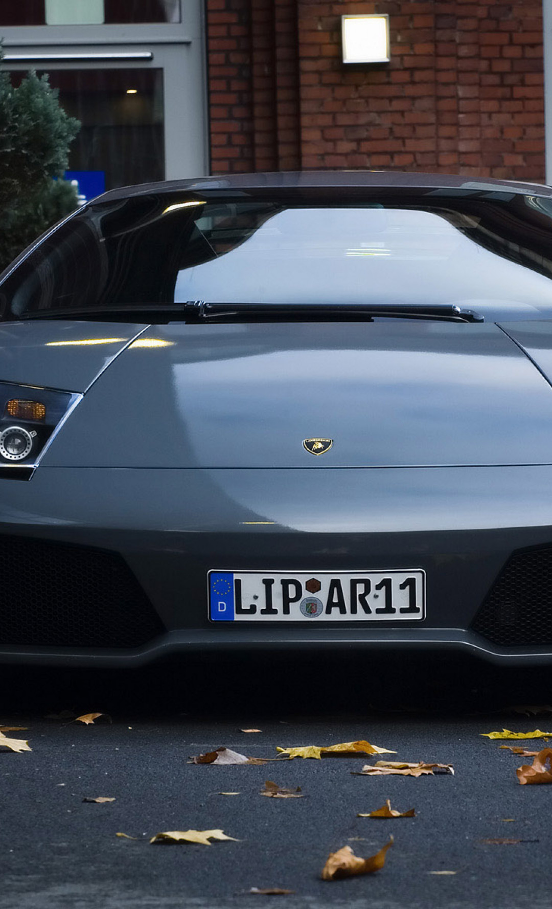 lamborghini 124