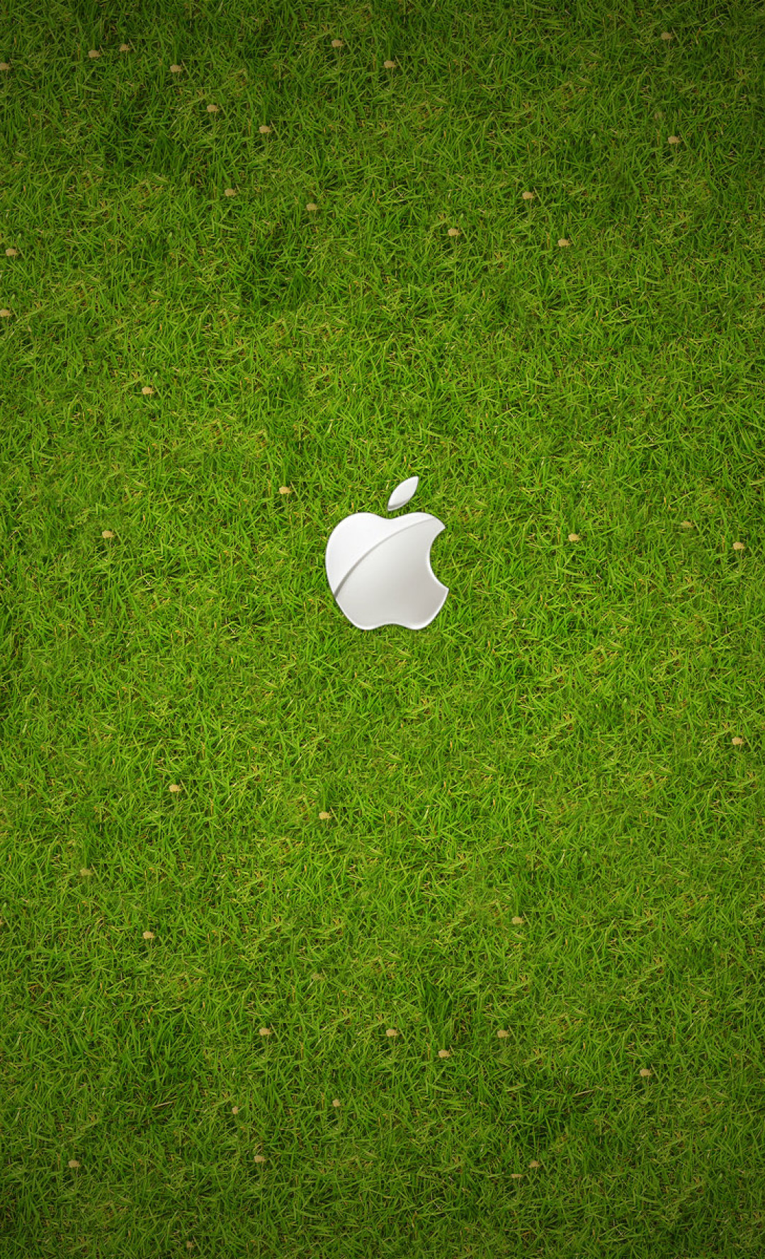 Apple (140).jpg