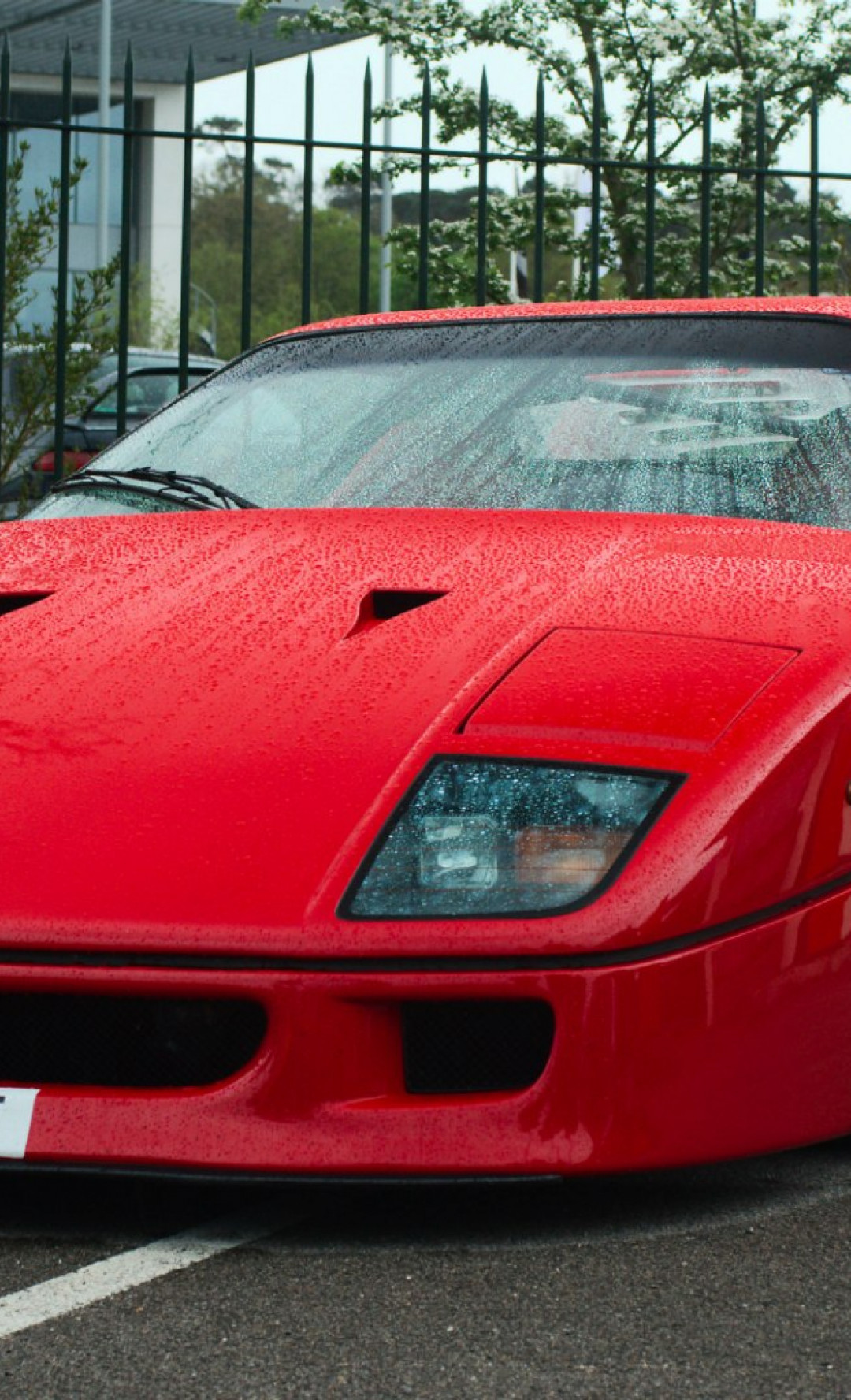 Ferrari auto 3