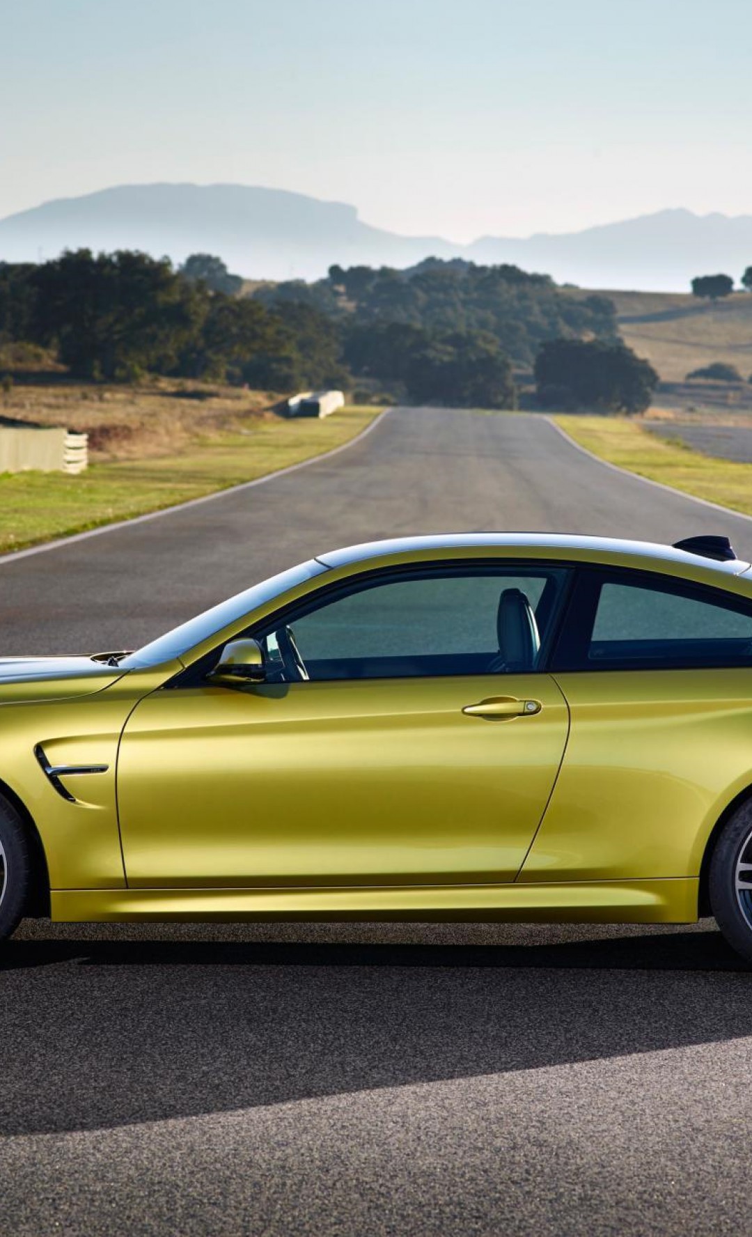 BMW M4 Coupe 2015 20