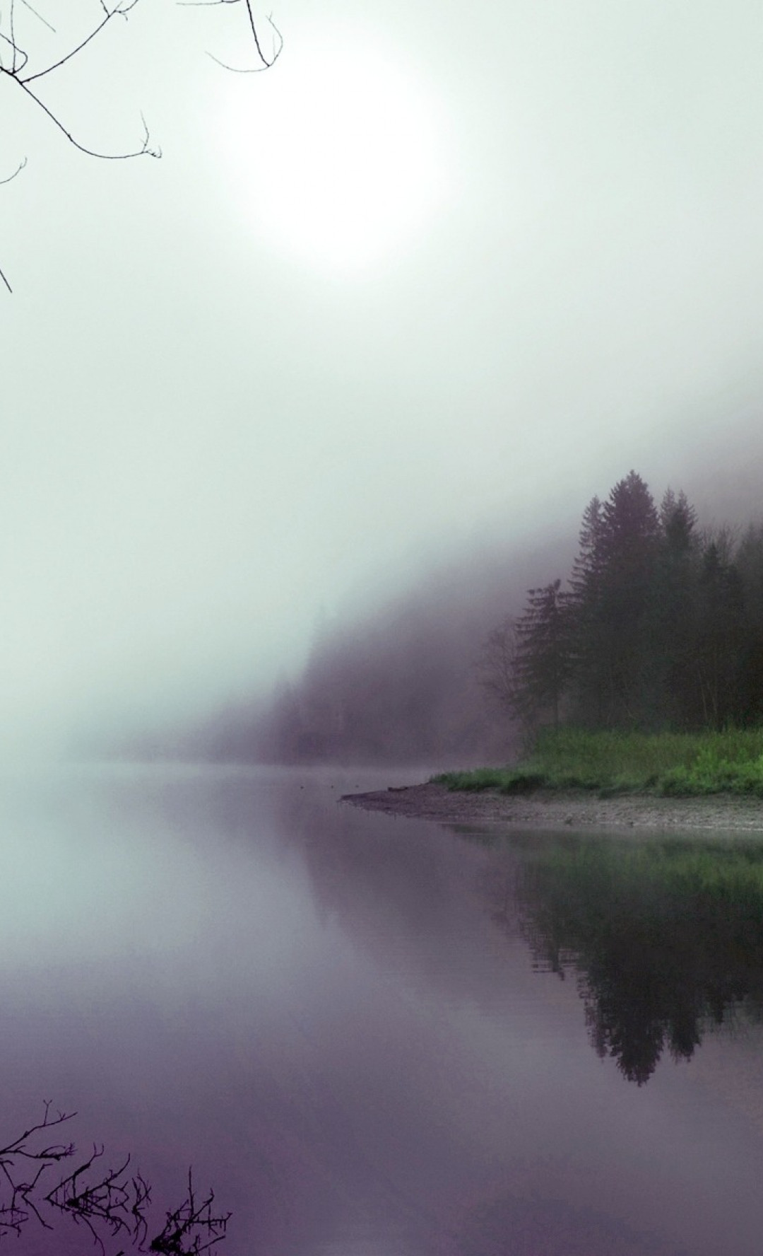 Mgła nad rzeką i lasem