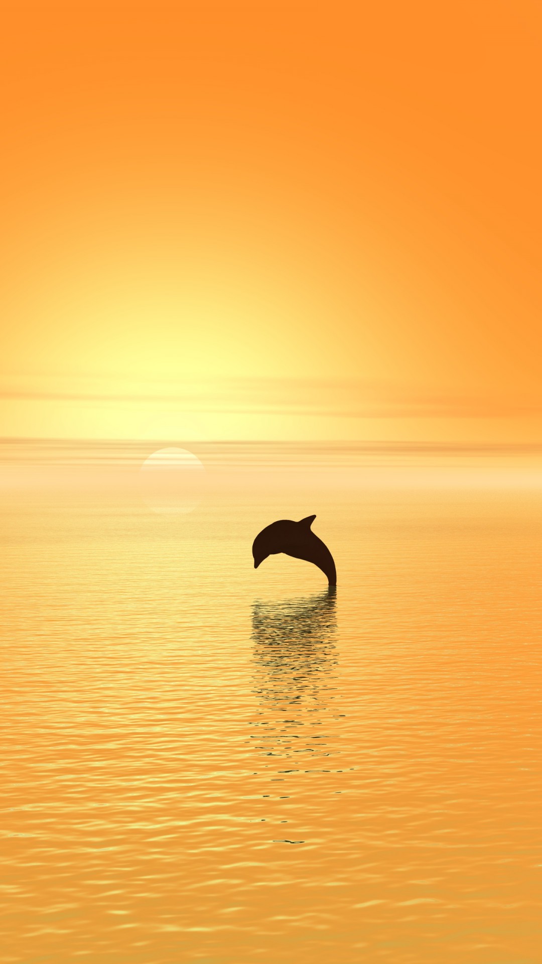 Delfin i zachód słońca