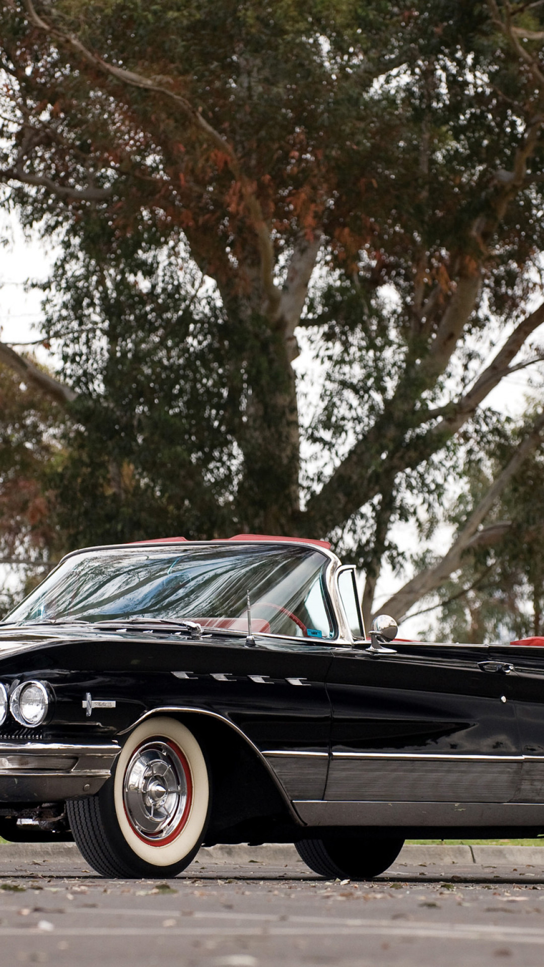 Buick Electra 225 Convertible '1960.jpg