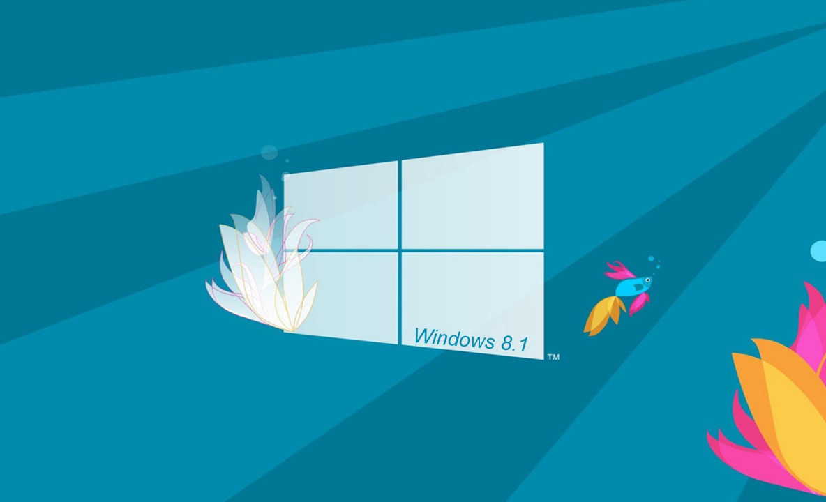 windows 8.1