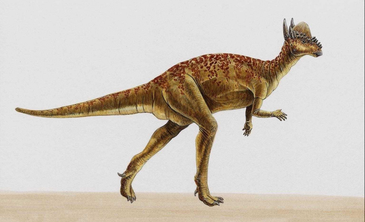 dinozaury (37).jpg