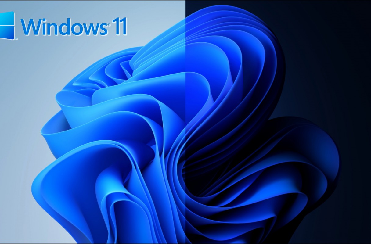 Windows 11 (1)