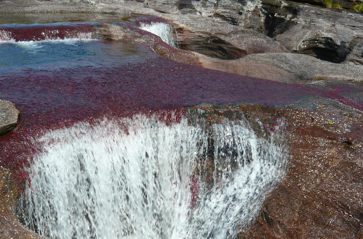 Caño Cristales