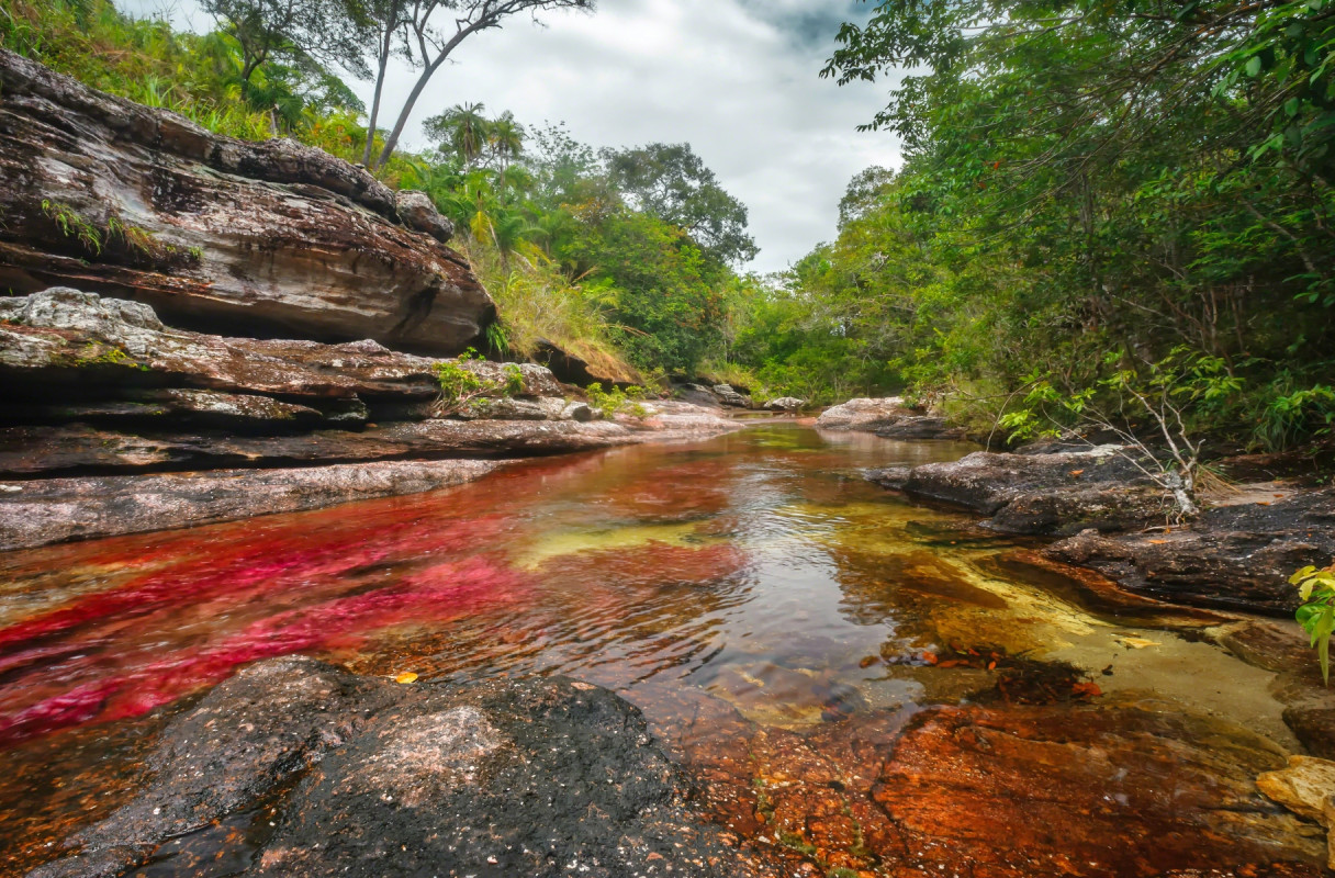 Caño Cristales