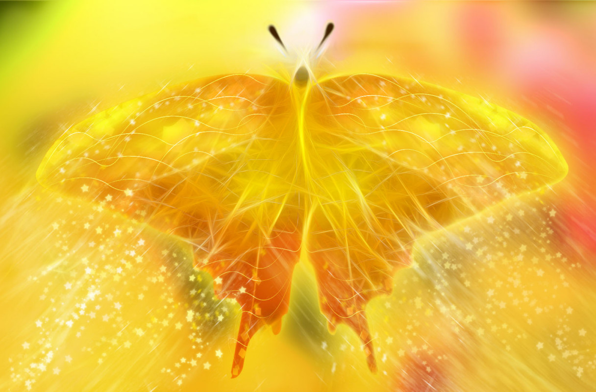 Backgrounds_Windows_7_-_Orange_butterfly.jpg