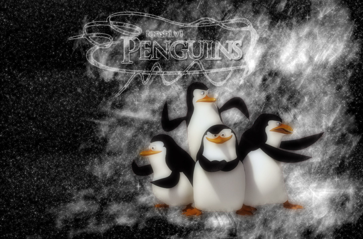 pingwiny (21).jpg