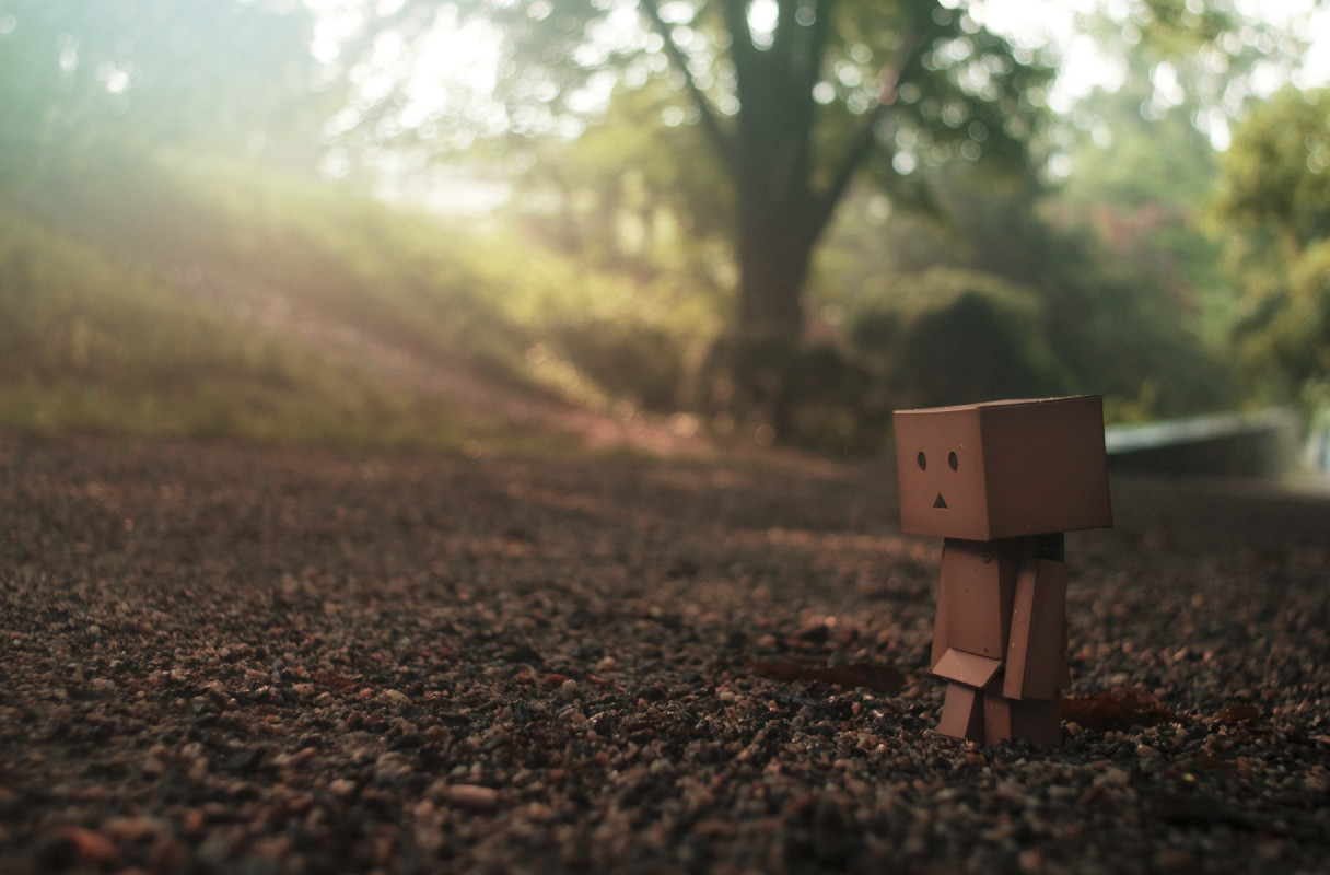 Danboard (5).jpg