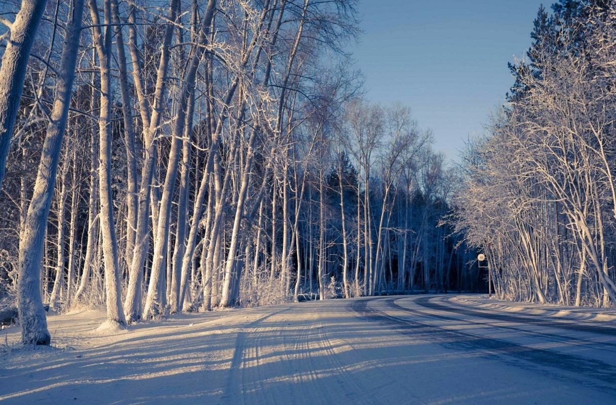 Piękny HD  Widok 120