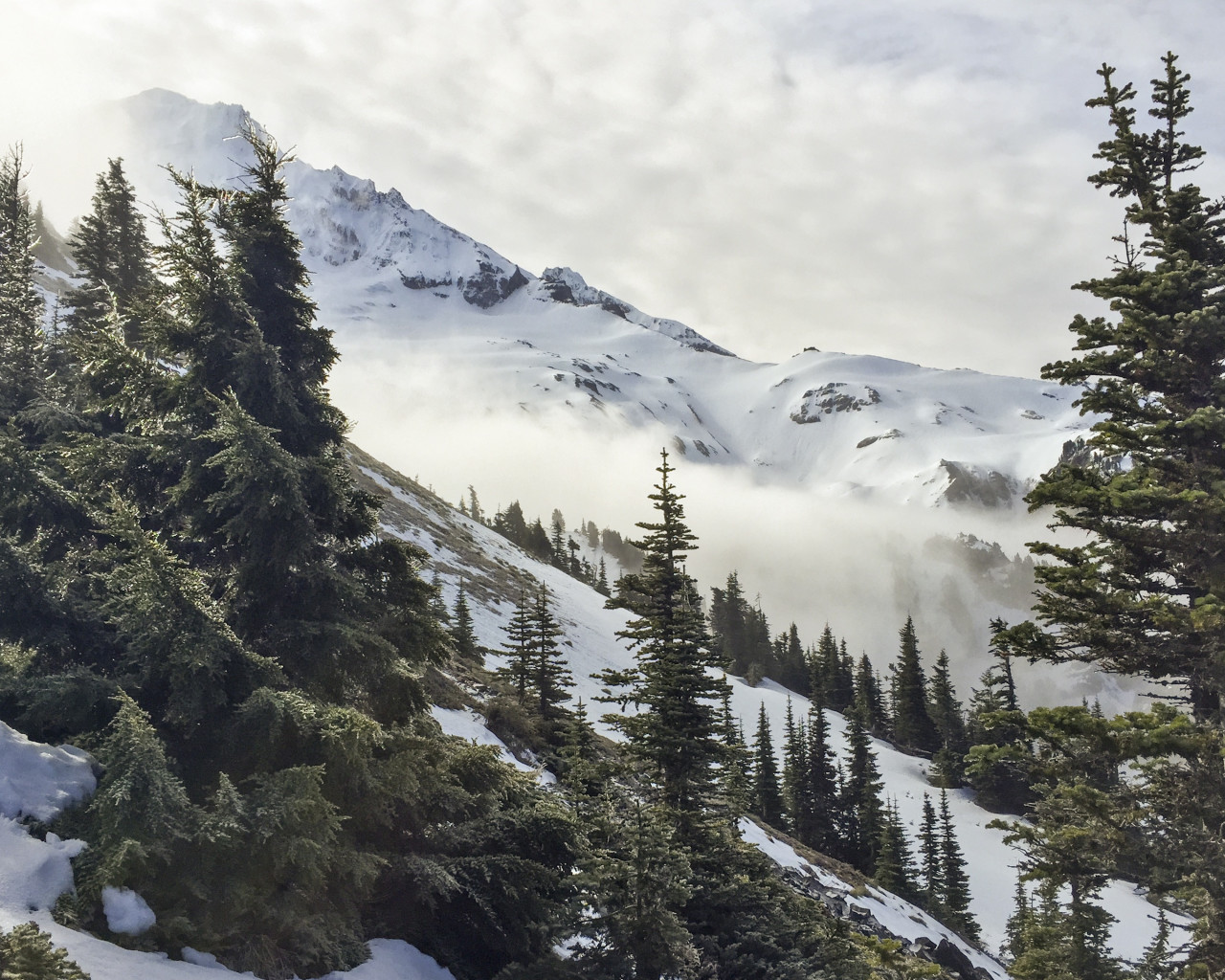 Góry, Śnieg i drzewa