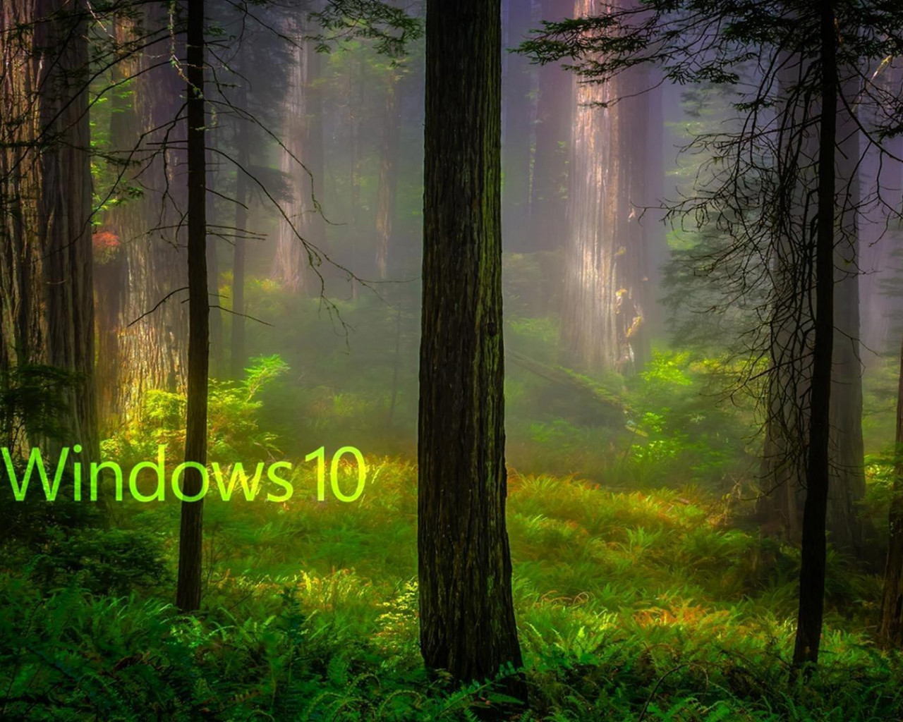 windows 10