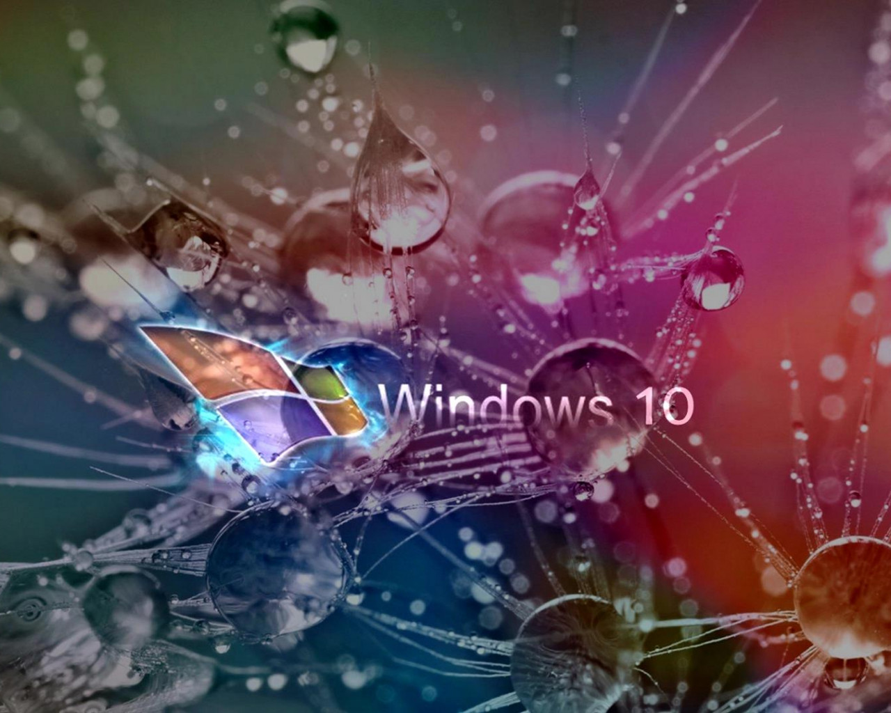 windows 10