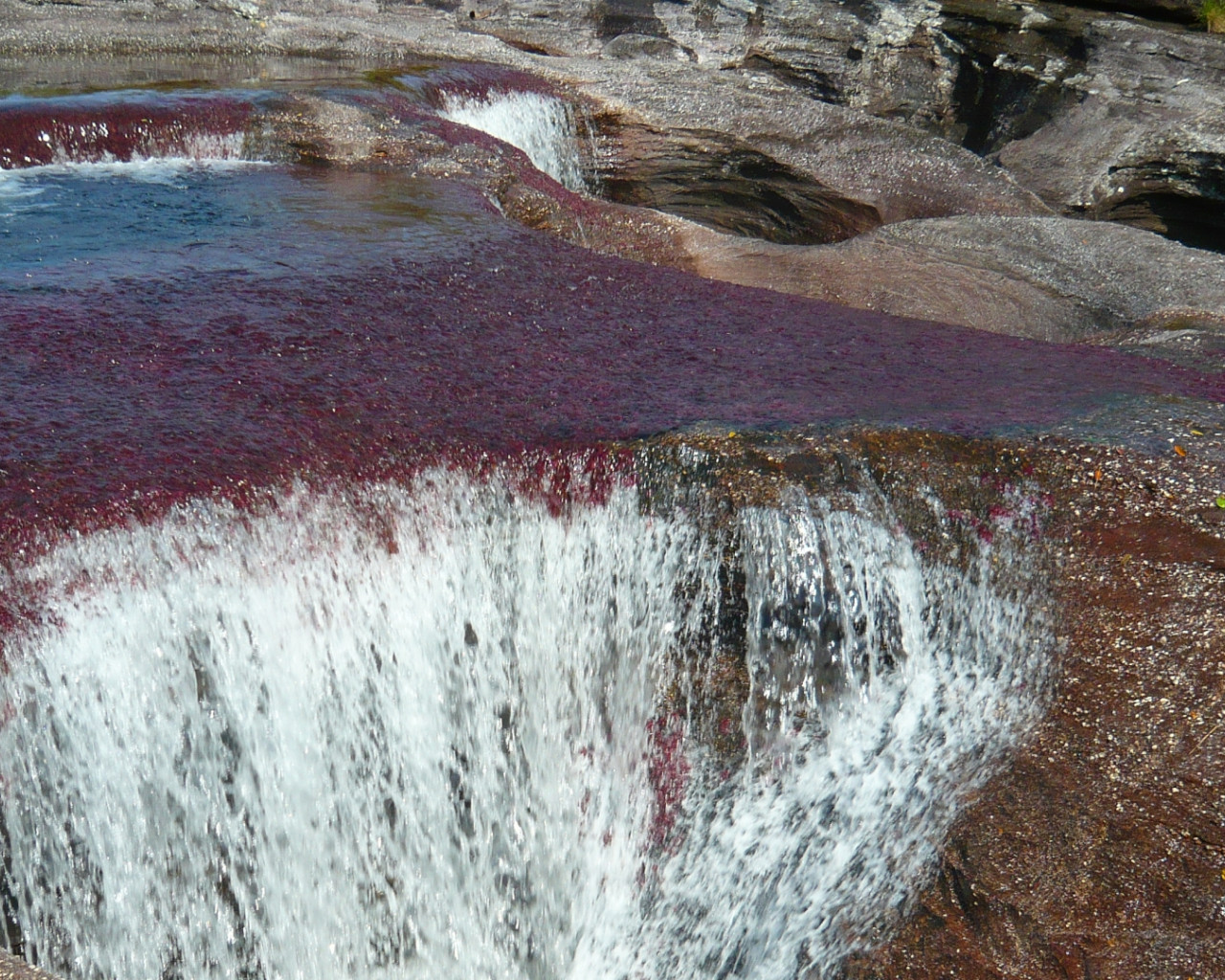 Caño Cristales