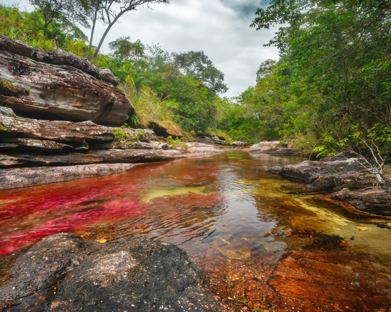 Caño Cristales