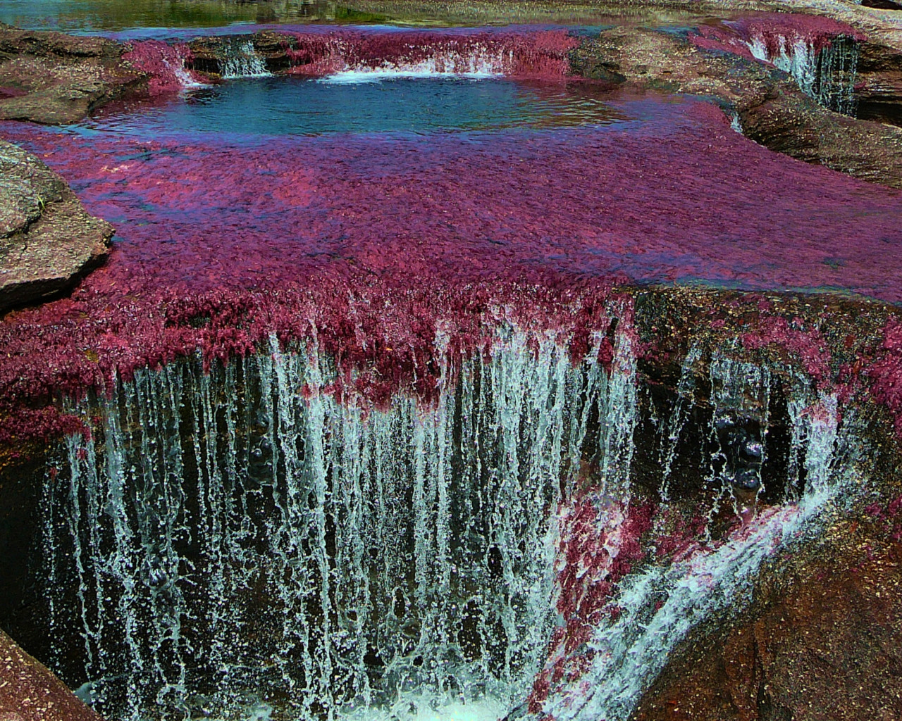 Caño Cristales